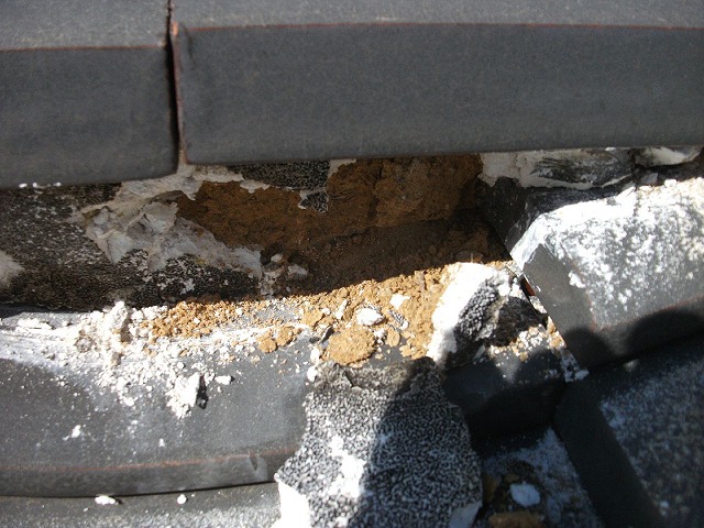 古い漆喰が残っている